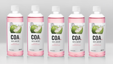 1 Karton COA. (12 Flaschen à 500ml) 100% Rohkost Bio Kokosnusswasser